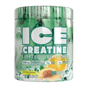 FA Ice kreatin 300 g (kreatin)